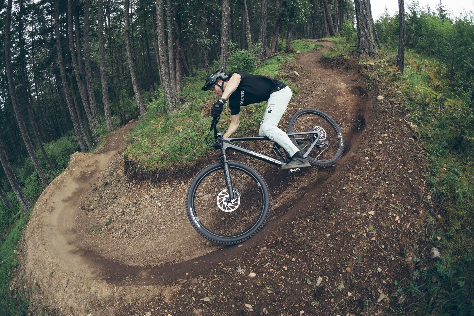 norco-fluid-c2-black-chrome-29_6_o