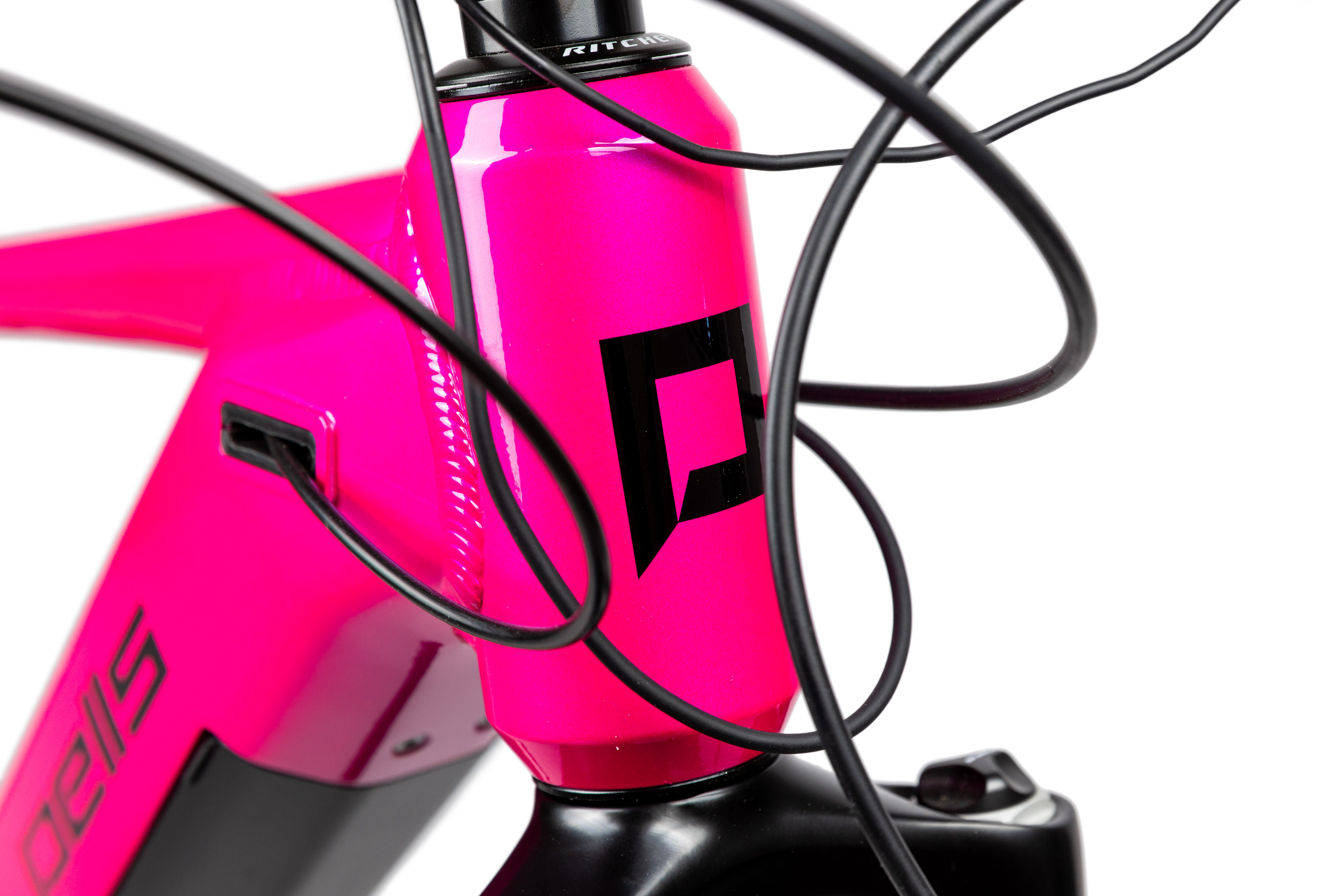 pells-thorr-1-w-magenta-coral_2_o